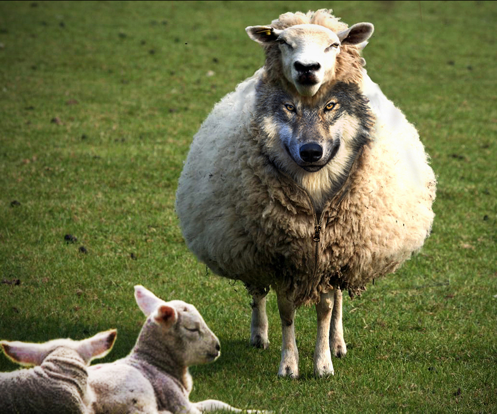 Šta je važnije – programi ili lideri? I dokle više lideri?